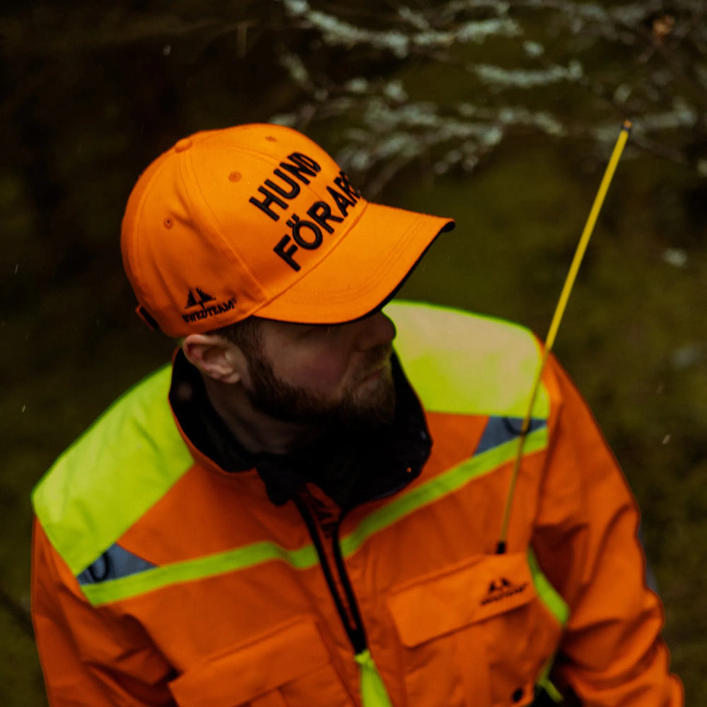 100178551_environment_1.jpg